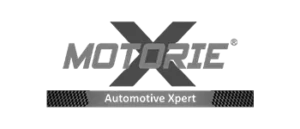 Social media marketing and management for Motorie – Boosting brand visibility with Elivatr